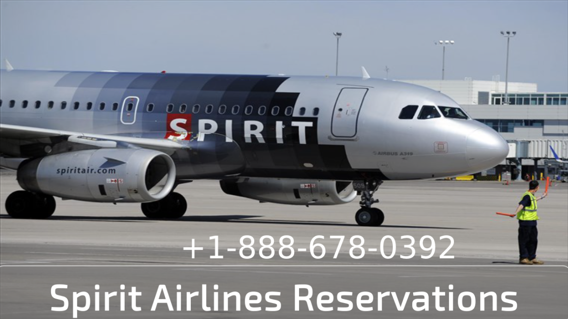spirit airlines check on flight status