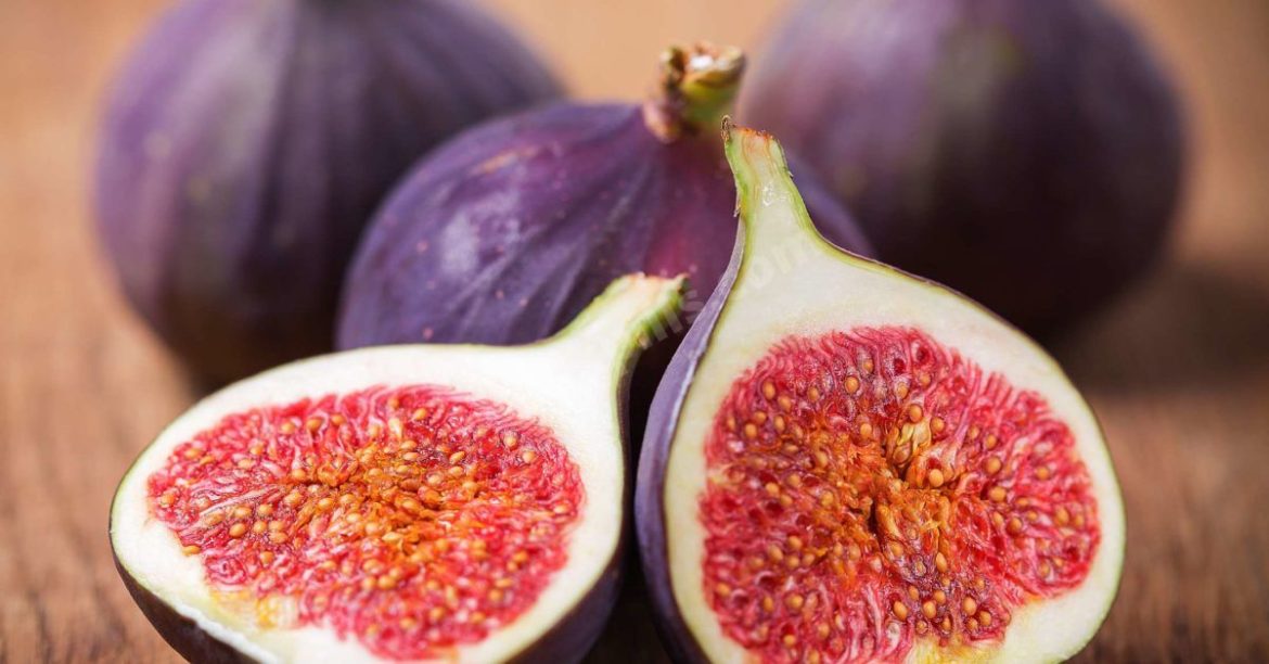 Anjeer and Fig Health Benefits