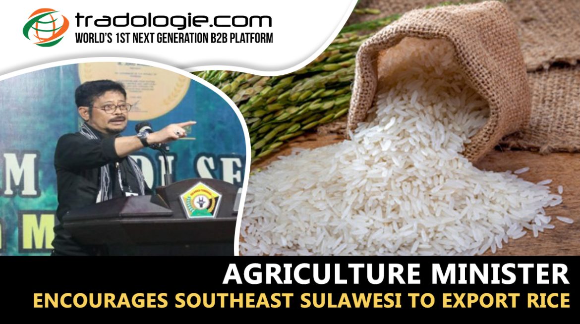 The Agriculture Minister Encourages Southeast Sulawesi to Export Rice